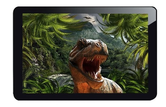 InfoTouch Raptor 10, 10.1 inch PLS MultiTouch