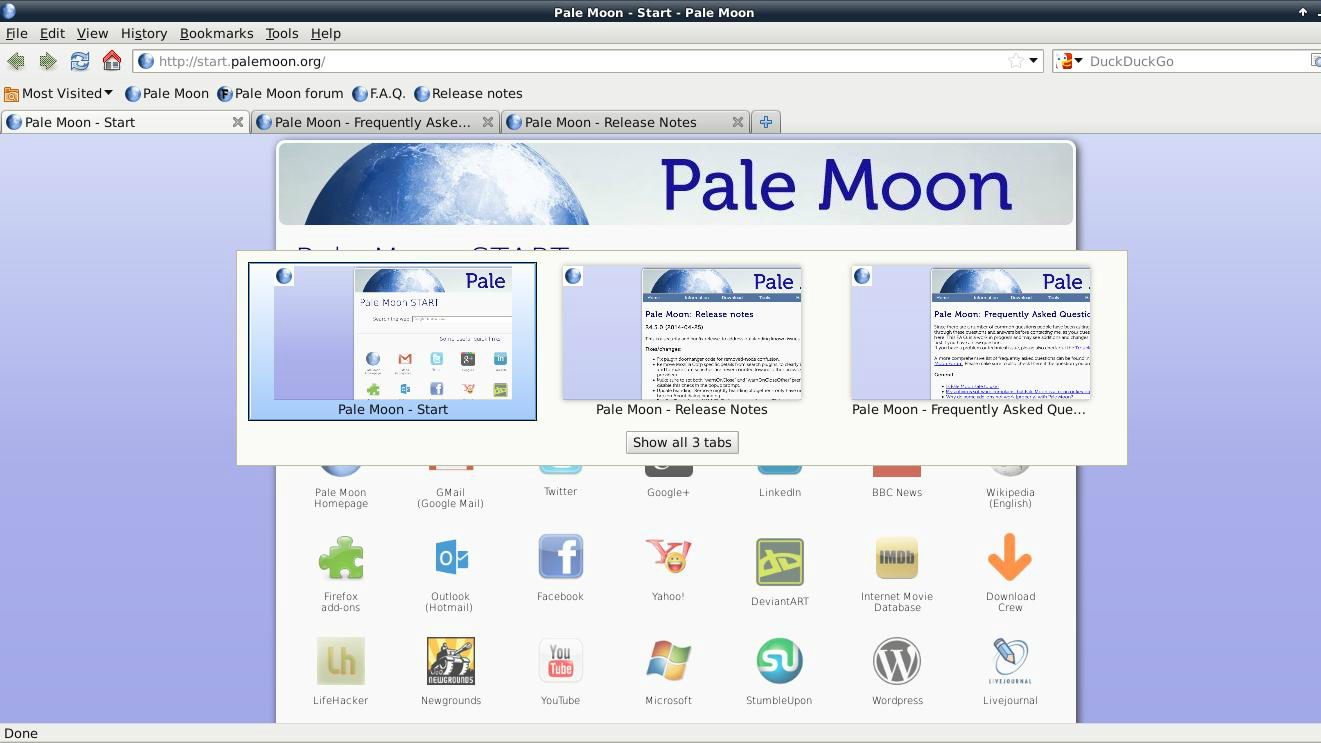 pale moon browsere mai puțin cunoscute 1