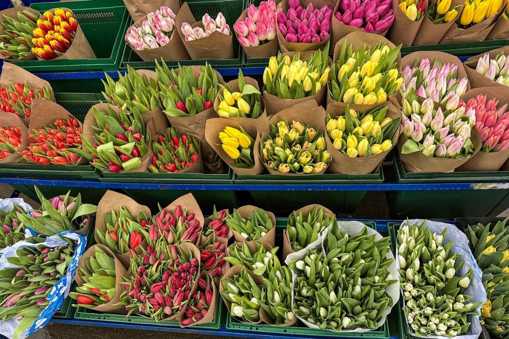 Imagini virale cu un șoricel ascuns printre buchetele de lalele dintr-un supermarket din Buftea: “Este mărțișorul”