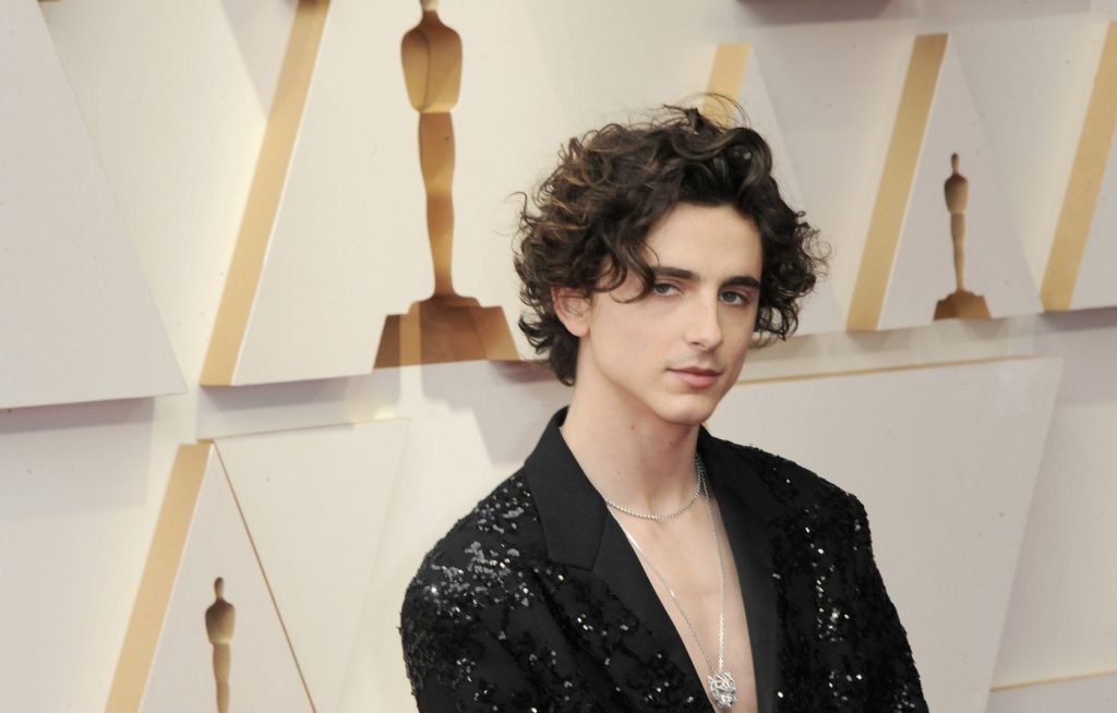 Opera Cluj-Napoca, răspuns viral pe TikTok pentru Timothée Chalamet: „Hei, am făcut un mic video pentru tine”. Actorul american a înfuriat lumea artistică printr-o singură replică