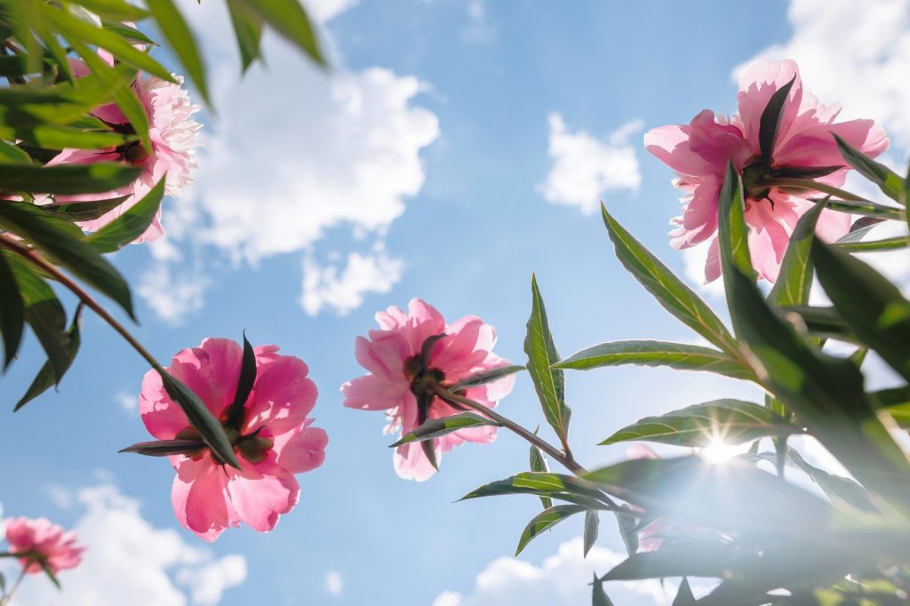 Prognoza meteo pentru weekend aduce veşti bune. Temperaturile urcă până la 17 grade, zonele în care va fi cel mai cald