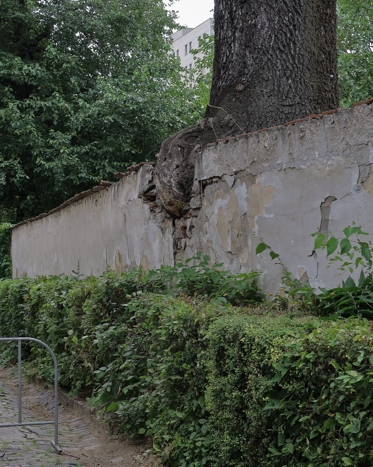 Canon G5 Mark II mostra foto Bucuresti