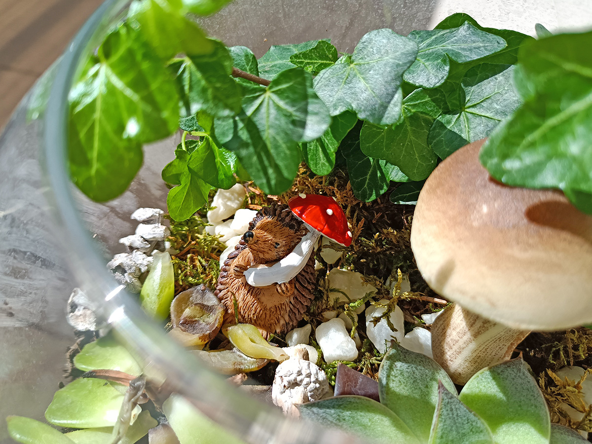 mostra foto realme 8 5g