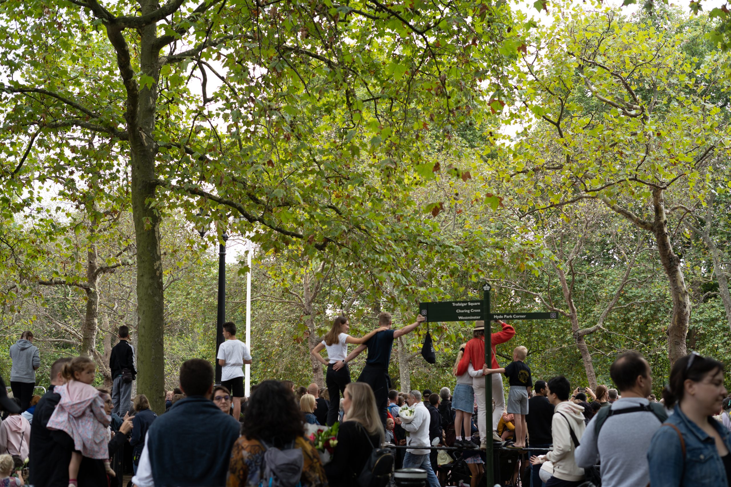 Cei prezenți au încercat să obțină un unghi cât mai bun, cu orice preț