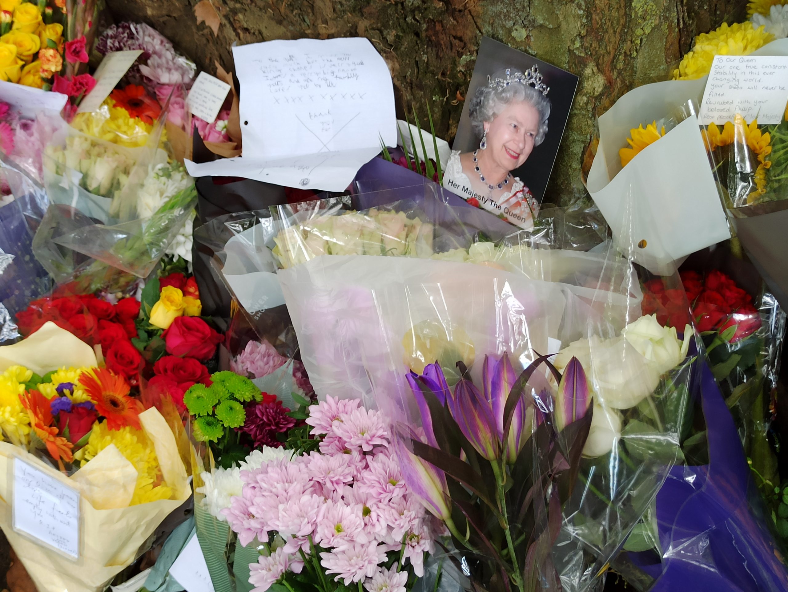 Oamenii au ieșit în stradă, din respect față de regina Angliei