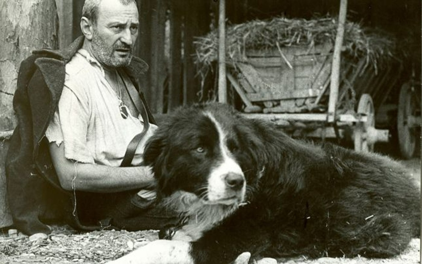 Atunci i-am condamnat pe toți la moarte