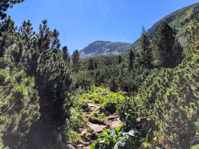 stațiunea munții carpați