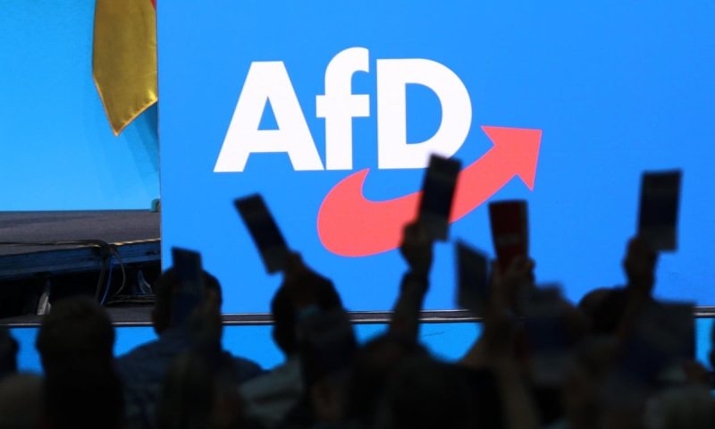 Partidul AfD Germania