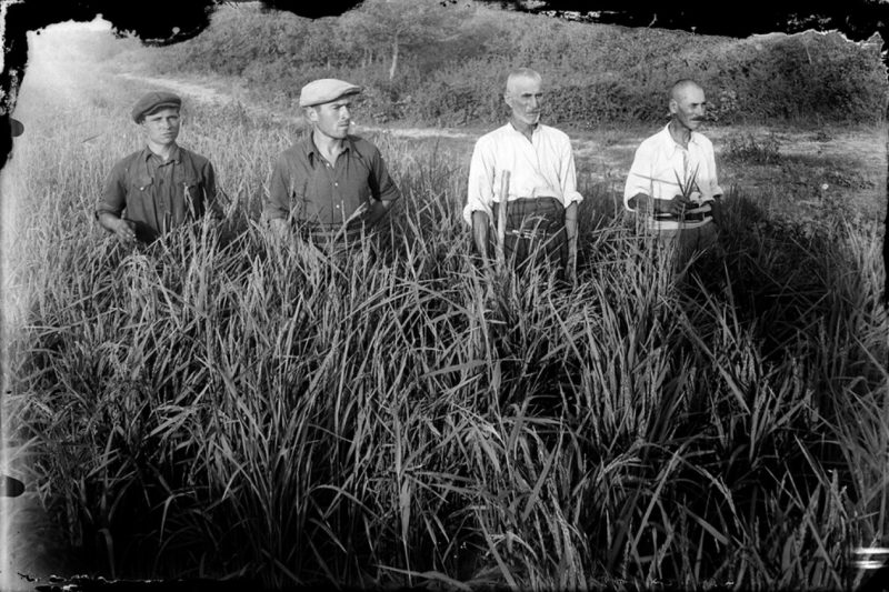 Imagine reprezentativa perioada interbelica Costica Acsinte