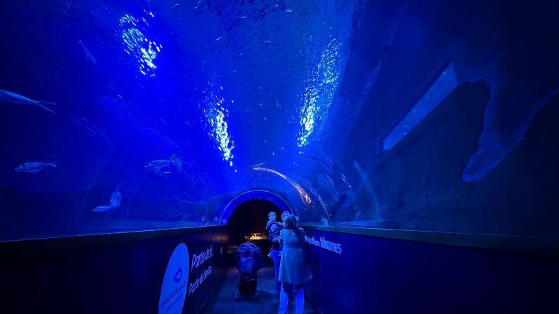 Aquarium Sevilla