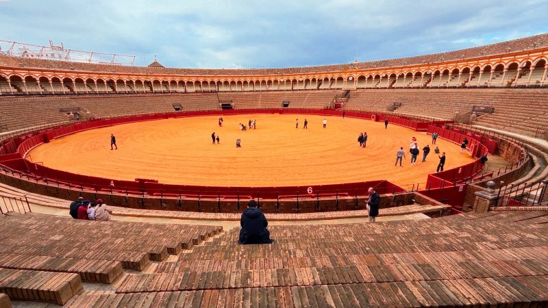 Plaza de Toros de la Real Maestranza de Caballería