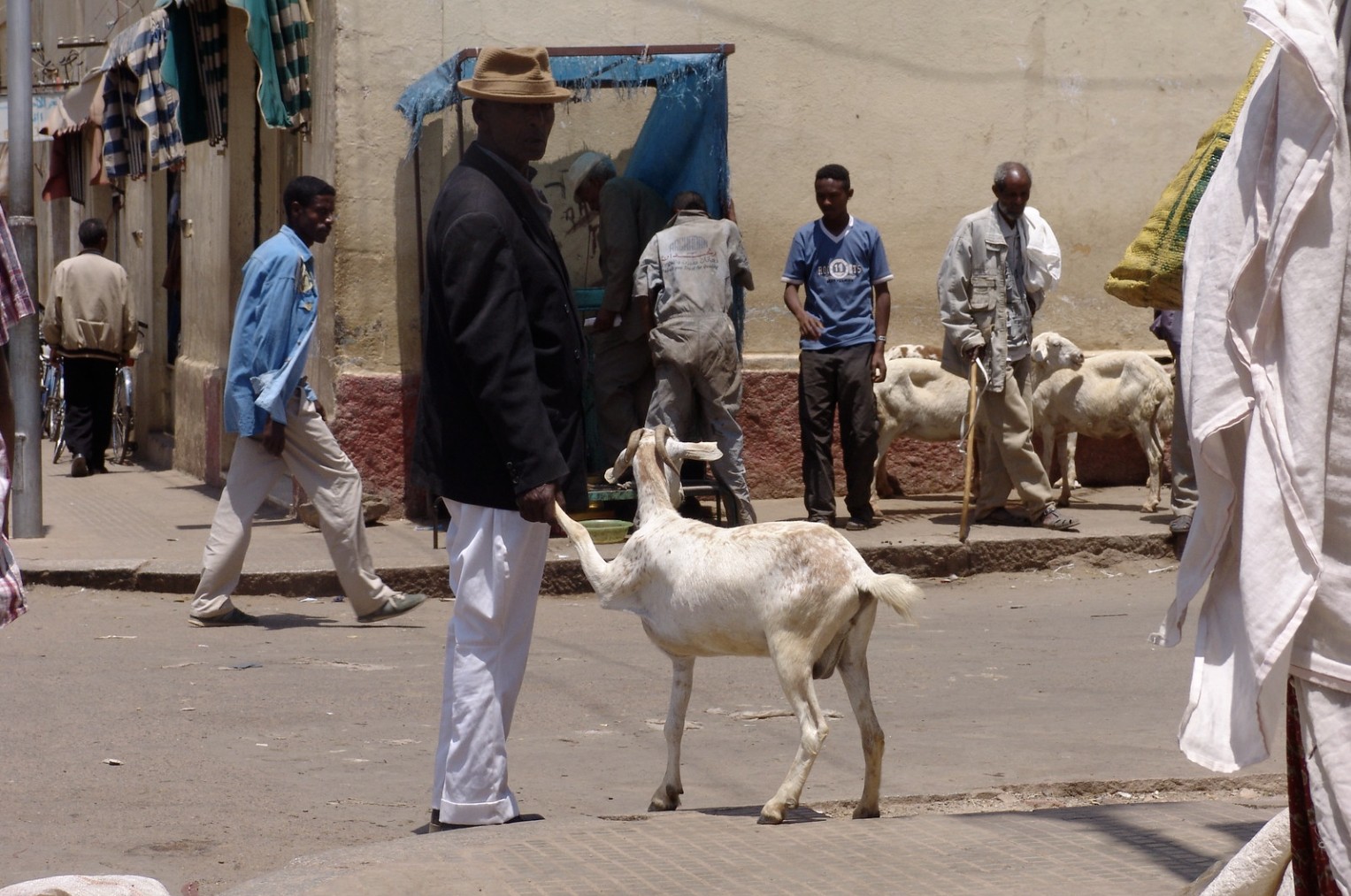 Eritreea este adesea numită „a doua Coreea de Nord” din cauza regimului autoritar și a condițiilor de viață extreme.