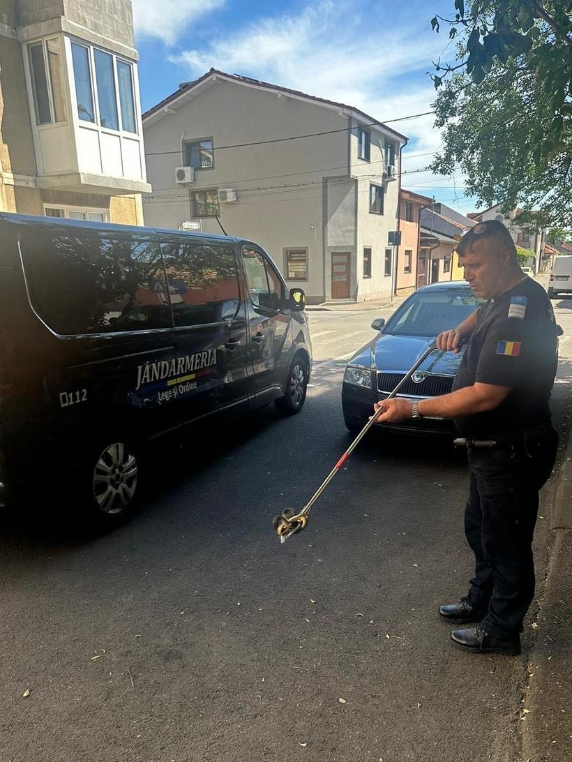Jandarmii, solicitați să îndepartăze șerpii