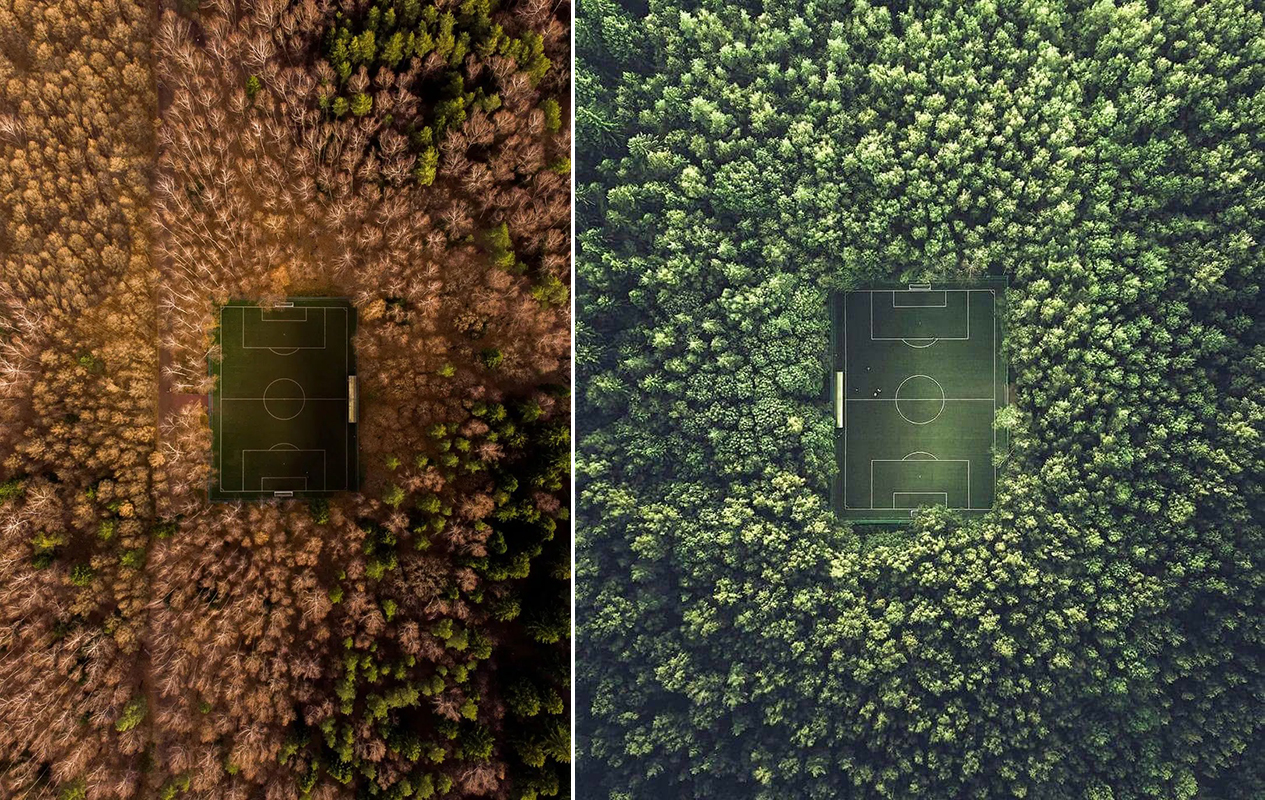 Terenul din Parcul Meshchersky, în apropiere de Moscova