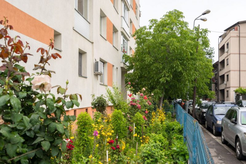 Amendă pentru neîngrijirea spațiului din jurul blocului. Cand se dă și de ce