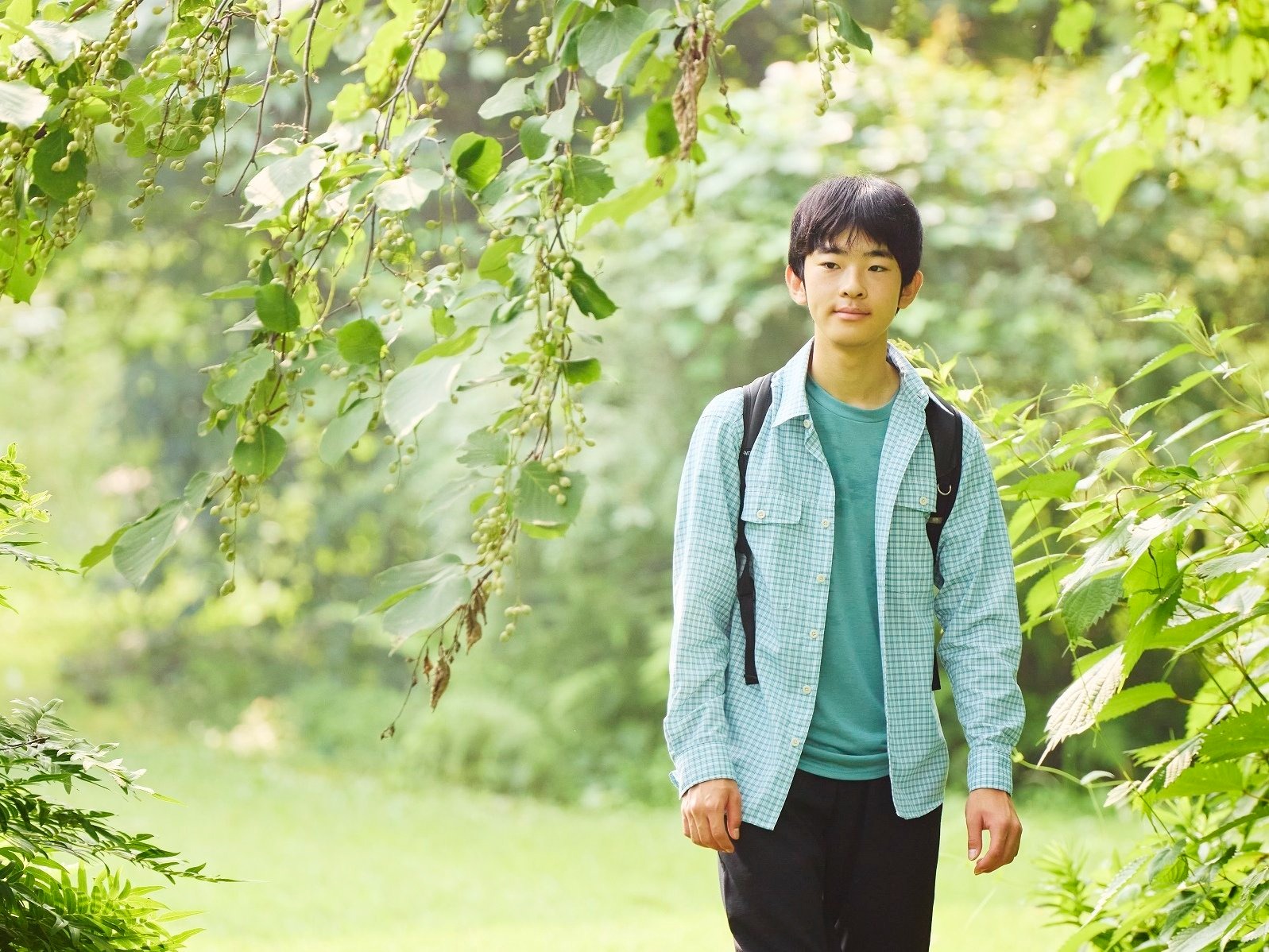 Prințul japonez Hisahito tanarul print