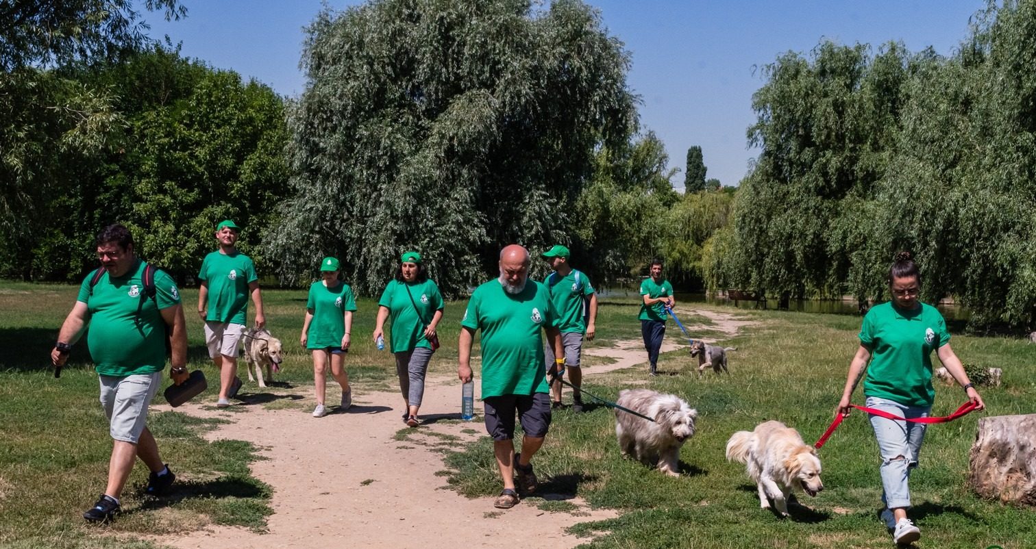 interviu adapostul speranta delia darabana despre animalele nimanui 6