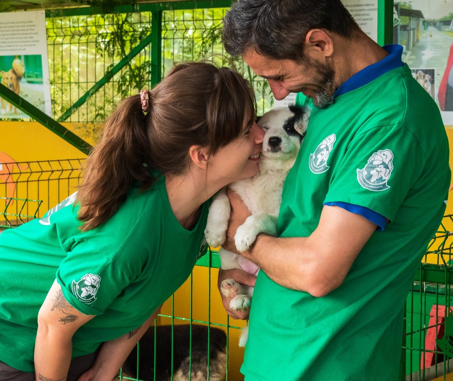 interviu adapostul speranta delia darabana despre animalele nimanui 6