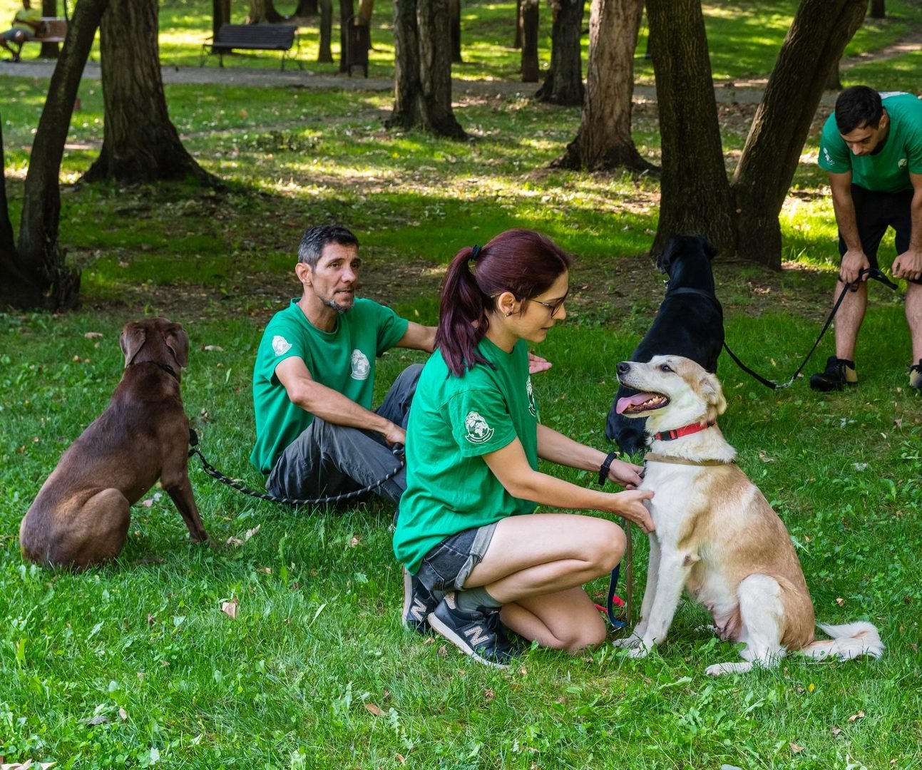 interviu adapostul speranta delia darabana despre animalele nimanui 6