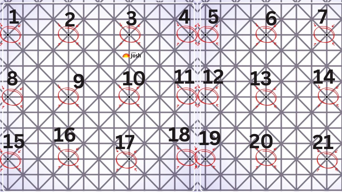 Iată câte puncte negre erau în imagine