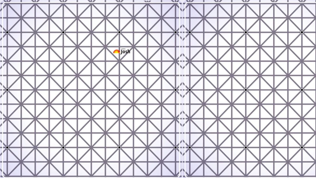 Iluzie Optică sursă foto: JagranJosh.com