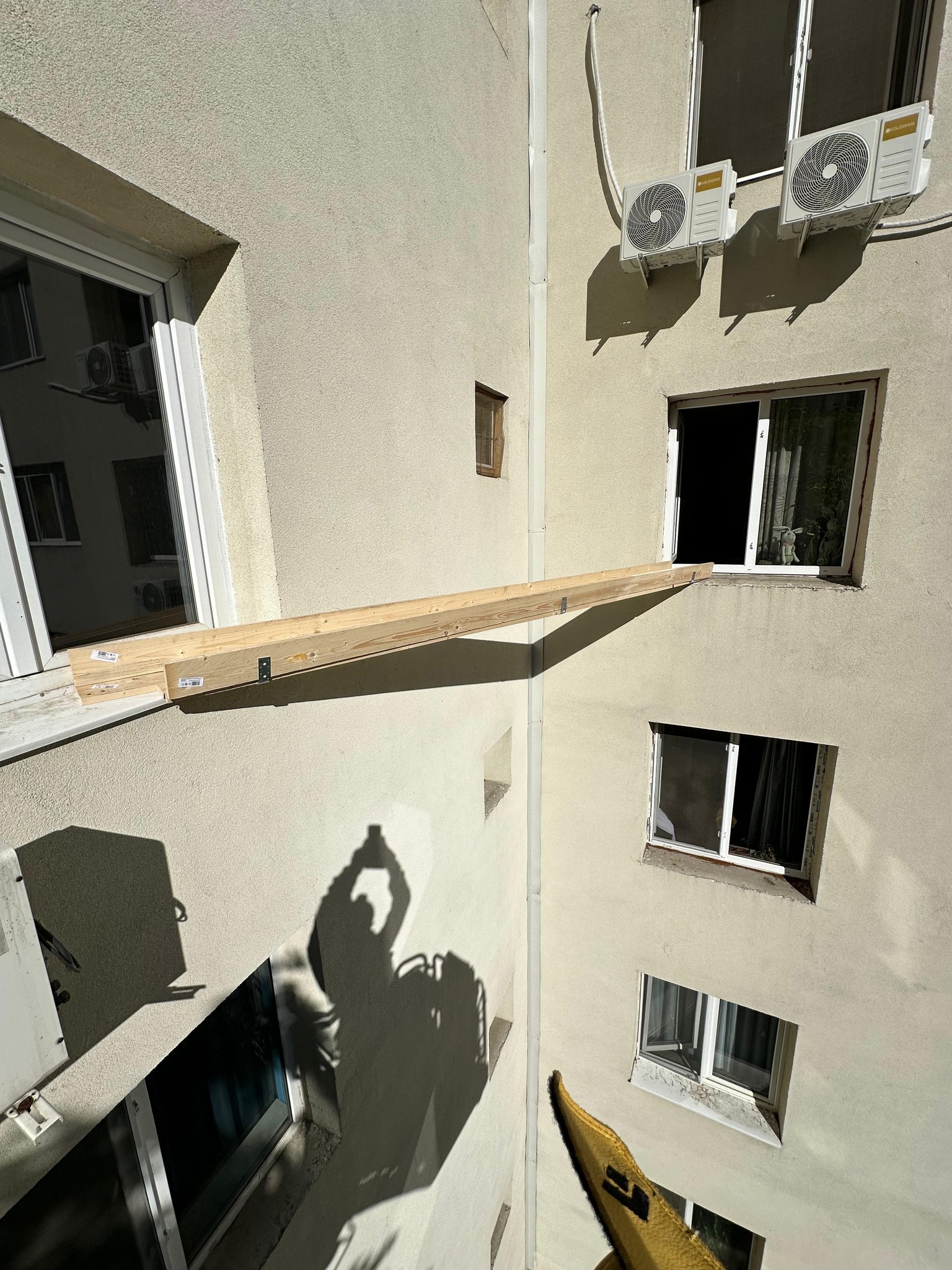 pasarela pisici explozie rahova