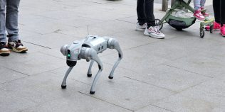Orașul din România în care câini-robot dotați cu AI patrulează prin centru și „ceartă” cetățenii care nu respectă curățenia
