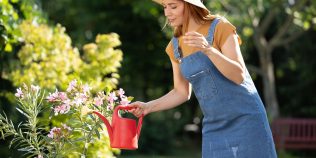 Când se udă plantele pentru a se menţine umede mai mult timp. Aşa faci economie şi la apă