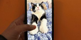 Clipurile video scurte pot crea dependență și afecta concentrarea. Ce spun cercetările despre efectele asupra creierului