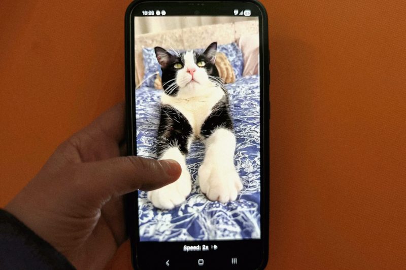 Clipurile video scurte pot crea dependență și afecta concentrarea. Ce spun cercetările despre efectele asupra creierului