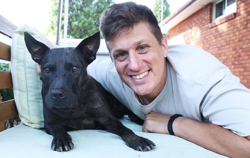 Un bărbat a folosit ChatGPT ca să creeze un vaccin anticancer pentru câinele său bolnav. Rezultatul i-a surprins pe oamenii de știință