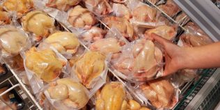 Sunt sau nu vopsiţi puii galbeni din comerţ? Explicaţiile producătorilor şi ale unui profesor universitar