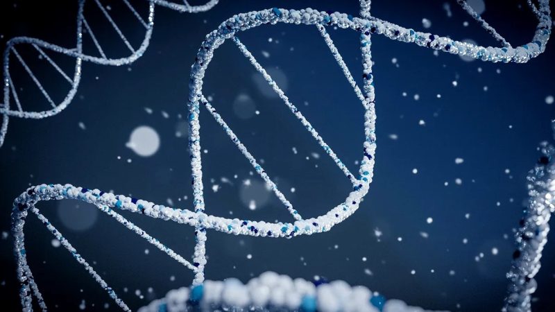 Studiu ADN: populația din epoca bronzului din Marea Britanie provine în mare parte din migranți veniți din estul Europei