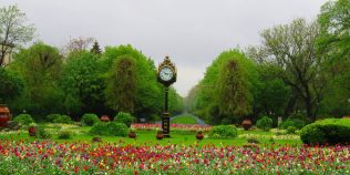 Ce poți face în București în weekendul 6-8 martie 2026, de Ziua femeii