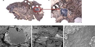 Oala din Epoca de piatră ascundea rețete surprinzătoare. Ce găteau, de fapt, oamenii preistorici acum 8.000 de ani