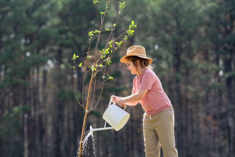 Copacii care se plantează la început de martie în grădină. Secretul pentru a se prinde din prima