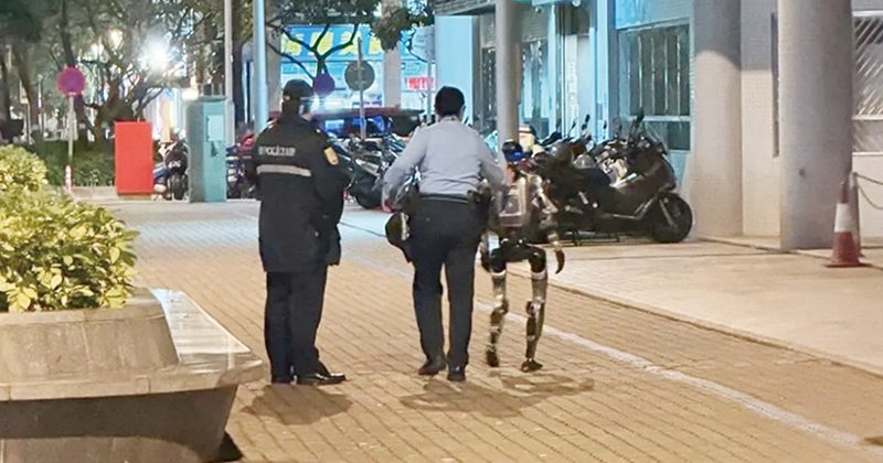 Robotul care a „speriat” o bătrână și a fost escortat de poliție: incidentul bizar care aprinde o dezbatere serioasă VIDEO