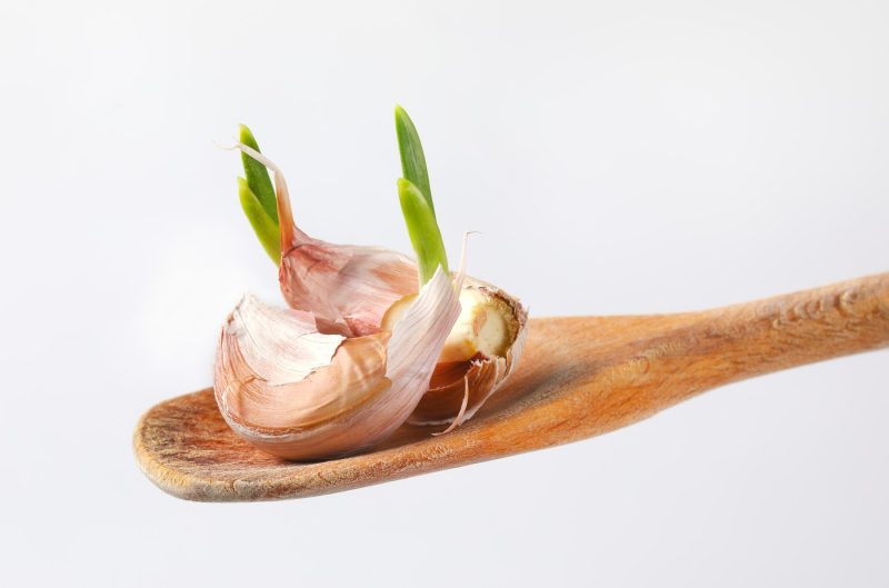 Ce se întâmplă dacă consumi usturoi încolţit: experţii în siguranţă alimentară explică dacă este un semn de alterare