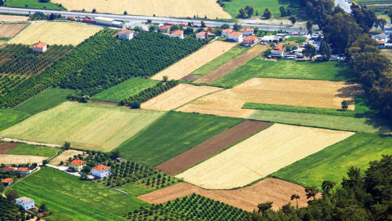 Când devine construibil un teren extravilan. Pașii pe care trebuie să îi urmezi