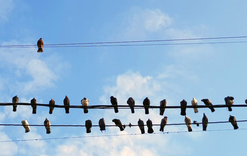 Panoul solar care poate înlocui 20 de centrale nucleare. Revoluția energiei începe în Japonia