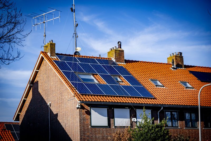 Revoluție în energia verde: „lemnul solar” care produce energie și după apus ar putea schimba tot