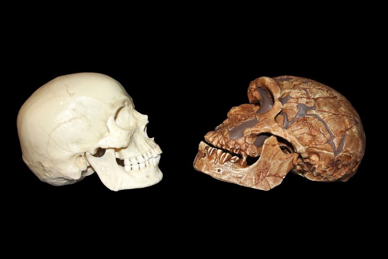 Descoperire spectaculoasă: urme ale oamenilor de acum 100.000 de ani rescriu istoria timpurie a Homo sapiens