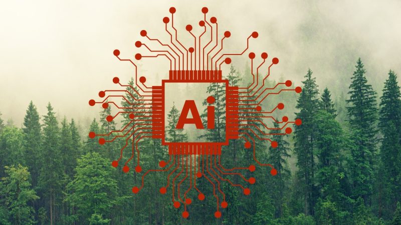 Pădurea intră în era algoritmilor: gigantul Weyerhaeuser vrea să pună AI-ul la cârma exploatării forestiere