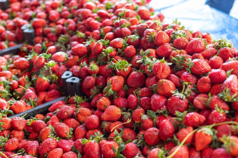 Cu cât vor costa mai mult fructele româneşti anul acesta. Costul motorinei, transpus în prețuri chiar la poarta livezilor