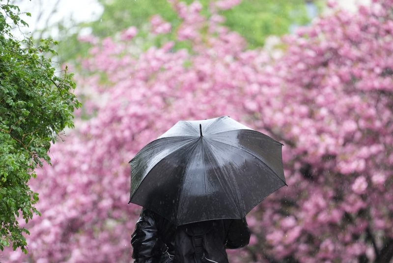 Minivacanța de 1 Mai, dată peste cap de vremea rea. Unde plouă și unde revin temperaturile ca de final de iarnă