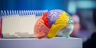 Creierul nu se oprește complet sub anestezie. Descoperirea care schimbă ce știm despre conștiință