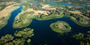 INTERVIU EXCLUSIV cu Dan Dinu, regizorul documentarului Delta Sălbatică: „Filmul nostru a fost creat pentru oricine vrea să înțeleagă mai bine ce înseamnă natura României”