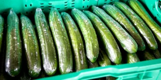 De ce castraveții lungi din supermarket sunt înveliți în plastic. Motivul nu are legătură doar cu transportul