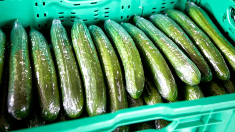 De ce castraveții lungi din supermarket sunt înveliți în plastic. Motivul nu are legătură doar cu transportul