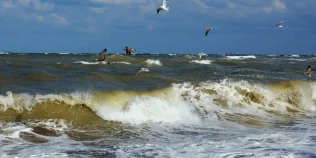 Fenomenul ciudat observat de turişti în Marea Neagră. „Ce e învolburarea asta?”. Totul se vede de pe plajă